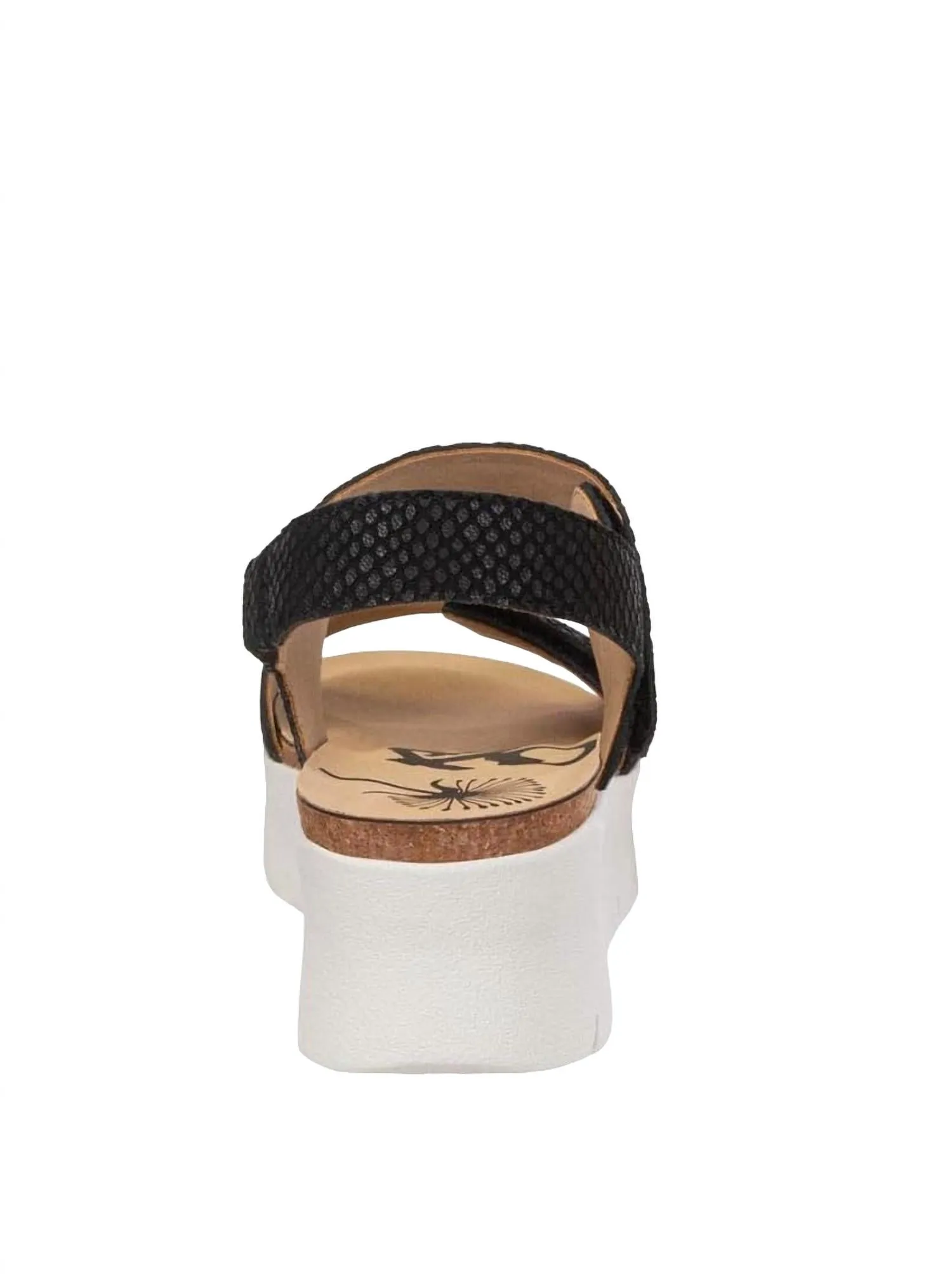 Montaneplatform Sandal In Black
