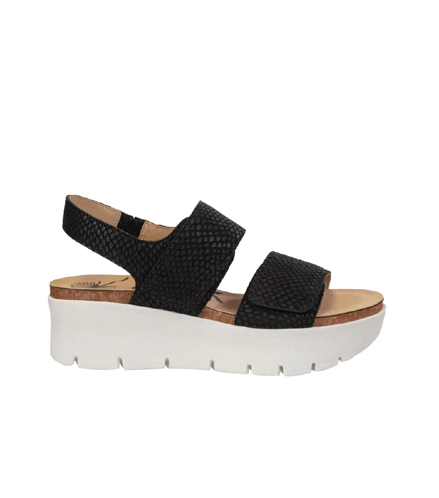 Montaneplatform Sandal In Black