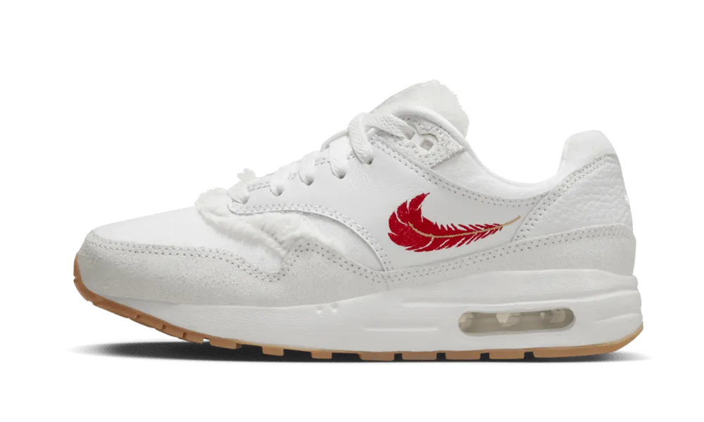 Nike Air Max 1 'The Bay' (GS)