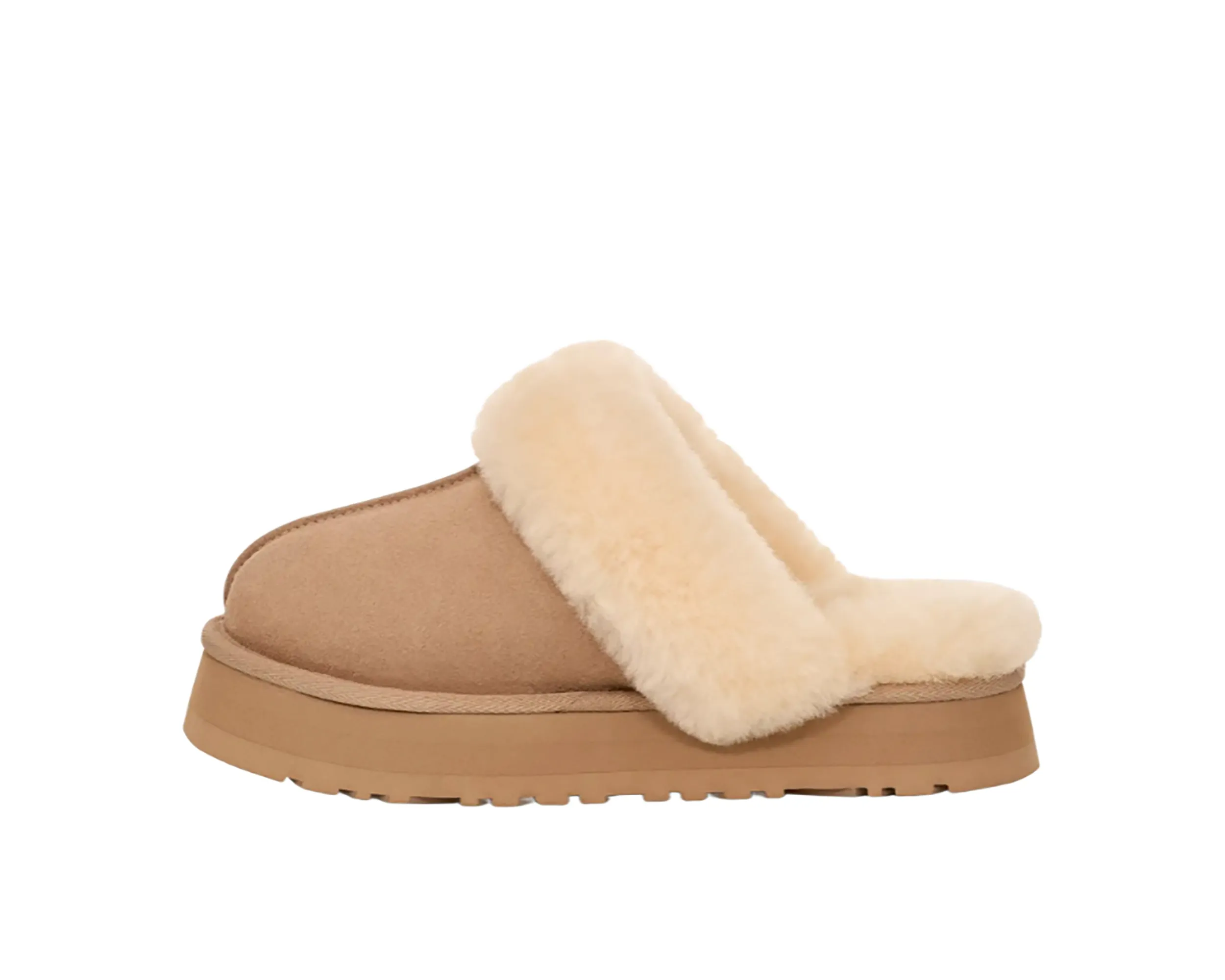 Women`s Disquette Slipper
